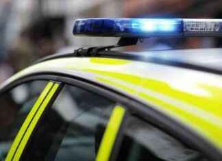 Child Attacked by Dog, Woman Arrested: What You Need to Know news-05102024-193412