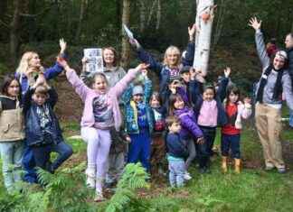 Exploring the Beauty of Wimbledon Common: A Tree-mendous Experience for All news-07102024-220646