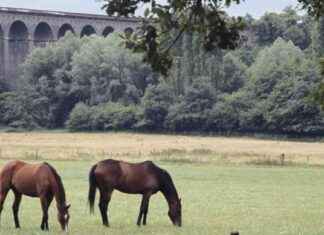 Upgrade your commute: Fast trains to Pretty London commuter towns and villages news-09102024-142632