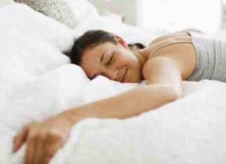 Cozy and Snuggly Dunelm Teddy Set for the Best Sleep Ever news-10102024-042850