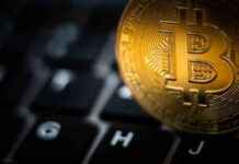 Impact of Inflation and Economic Factors on Bitcoin’s Decline – London Business News news-11102024-232809