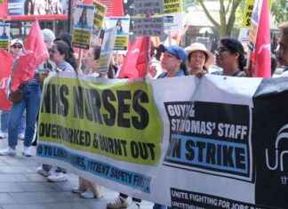 Hospital Theatre Nurses Successfully End Months-Long Strike news-14102024-204831