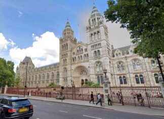 Security Guard Strike Threatens Half-Term at Natural History & Science Museums news-15102024-205713
