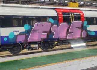 Vandalized New Piccadilly Line Train Photos on Route to London – Latest Updates news-15102024-220810