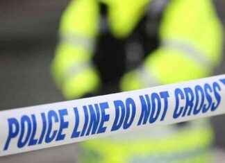 Teenage twins sentenced to prison for fatally stabbing classmate in schoolyard altercation news-15102024-220831