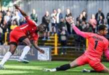 Welling United Secures Victory Over St Albans City with Chukwu’s Performance news-20102024-224315