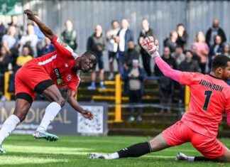 Welling United Secures Victory Over St Albans City with Chukwu’s Performance news-20102024-224315