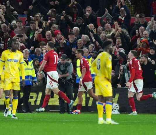 Oliver Glasner: Palace Keeper Henderson Apologizes for Error in Nottingham Forest Defeat news-22102024-045145