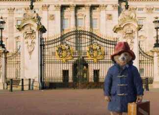 Paddington Bear Receives British Passport: Home Office Grant news-22102024-224317