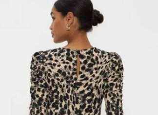 Stylish Winter Dress from Dorothy Perkins Delights Debenhams Shoppers news-26102024-043321