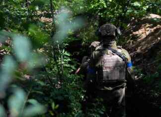 Ukrainian Forces Issue Warning to North Korean Troops – London Business News news-01112024-063338