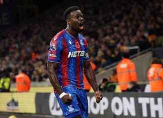 Crystal Palace boss discusses controversial decision in Wolves draw news-03112024-082522