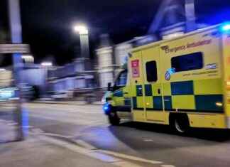 Tragic Incident: 10-Year-Old Girl Had ‘Loving Relationship’ with Family Dog Before Fatal Attack news-04112024-061258