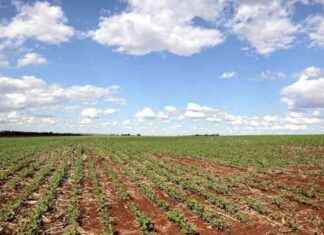 Farmers Warn Government of Potential Militancy Over Inheritance Tax – London Business News news-05112024-053133