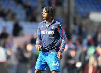 Crystal Palace Manager Oliver Glasner Dealing with More Injuries as Youngster Suffers Hamstring Issue news-05112024-234353