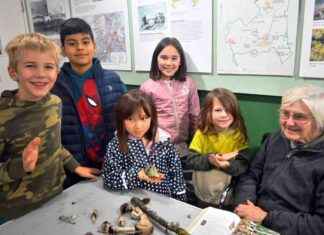 Enlightening Mushroom Hunt with Wimbledon’s Nature Club Circle news-06112024-054610