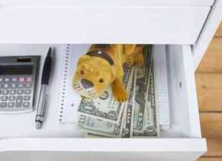 Financial Relief Options for International Entrepreneurs with US Tax Debt – London Business News | Londonlovesbusiness.com news-07112024-160535