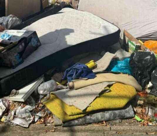 Combatting Fly-Tipping: Residents Pitch in for CCTV Camera news-08112024-205332