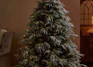 Best Christmas Tree Deals at Dunelm – Shop Now! news-09112024-041956