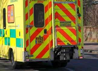 Tragic Accident: Child Killed by Falling Tree Branch news-10112024-012226