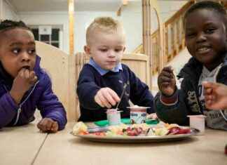 Increasing Availability of Free School Meals to Southwark Nursery Children news-11112024-144914