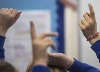 High Attendance and Student-Led Food Growth at Ofsted-Approved School news-16112024-174010