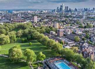 Dog Attack on Jogger in Park: Pet Seizure Incident news-17112024-214846