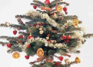 Alternative Christmas Tree Decor Ideas Using Natural Elements news-18112024-115127