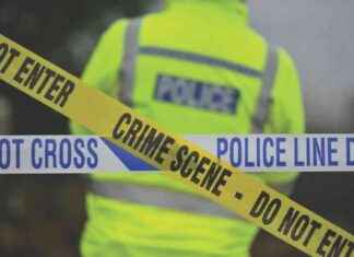 Man Charged with Murder of Elderly Woman: Latest Updates and Details news-19112024-003922