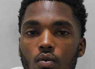 Unintentional Police Bust: Drug Dealer Exposed by Selling Ad Text news-19112024-161503