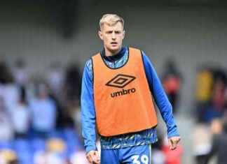 AFC Wimbledon vs Accrington Stanley Team Line-ups: Dons Boss Makes One Change news-20112024-004634