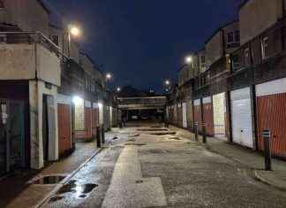 Tenant’s Delays in Clearing Mice Infestation Due to Phone Number Mix-Up news-26112024-224547