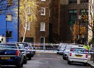 Investigation into Ladbroke Grove Shooting: 32-Year-Old Man Detained news-27112024-164928