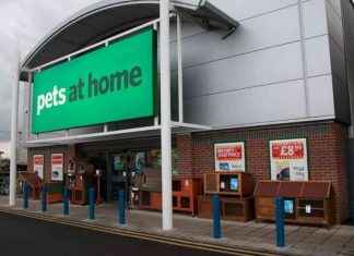 Impact of Labour’s Budget on Pets at Home: £18 Million Warning – London Business News news-27112024-165009