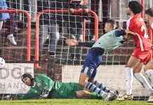 Welling United vs Tonbridge Angels Match Recap: Kelly Sent Off in 2-2 Draw news-28112024-045234