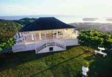 Fiber Internet Revolutionizing Connectivity in Jamaica: London Business News news-28112024-165547