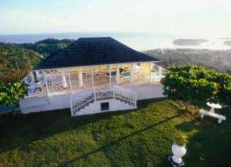 Fiber Internet Revolutionizing Connectivity in Jamaica: London Business News news-28112024-165547