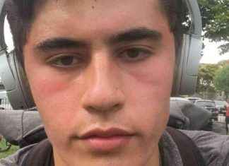 How Daniel Khalife Evaded Capture and Escaped Prison: Investigating Security Failures news-28112024-221233