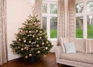 10 Tips for a Healthy Christmas Tree: How to Keep Your Tree Fresh and Vibrant 10-tips-for-a-healthy-christmas-tree-how-to-keep-your-tree-fresh-and-vibrant