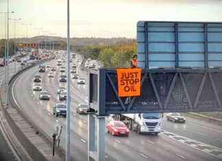 Campaign groups participate in appeal bids for M25 protest sentencing campaign-groups-participate-in-appeal-bids-for-m25-protest-sentencing