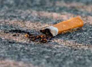 Consequences of littering: Croydon smoker fined £800 for discarded cigarette butt consequences-of-littering-croydon-smoker-fined-800-for-discarded-cigarette-butt