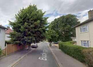 Identifying the main target and focus of the article: Police trying to find Thornton Heath stabberRegenerated SEO-friendly title: Search for Thornton Heath Stabber Intensifies dentifying-the-main-target-and-focus-of-the-article-police-trying-to-find-thornton-heath-stabberregenerated-seo-friendly-title-search-for-thornton-heath-stabber-ntensifies