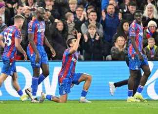 Crystal Palace 1 Newcastle 1 Match Recap: Munoz Saves Point, Eagles Exit Relegation Zone Before Ipswich Showdown news-01122024-052909