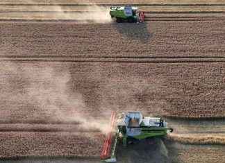 Bee-Killing Pesticides Detected in 85% of English Rivers: A Detailed Analysis news-02122024-100400