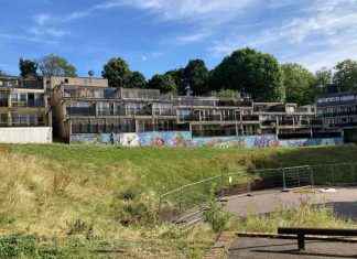 Assessing the Future of Gipsy Hill Estate: Lambeth’s Decision-making Process news-02122024-213836