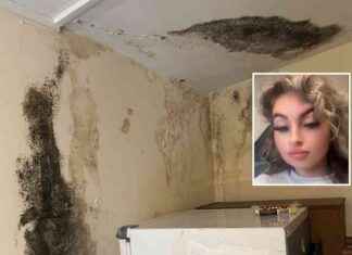 Council Neglect: Single Mum Struggles in Mould-Ridden Flat council-neglect-single-mum-struggles-in-mould-ridden-flat