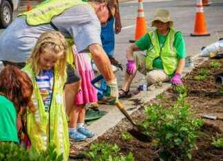 London Schools Integrating Climate Change Education: 14 Examples london-schools-ntegrating-climate-change-education-14-examples