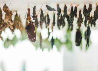 Flight Time To Cape Verde From London Gatwick Explained Flight Time To Cape Verde From London Gatwick Explained