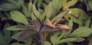 How Long Is Flight To New York From London Heathrow Info How Long Is Flight To New York From London Heathrow Info