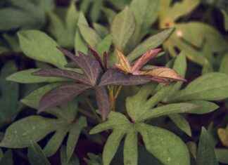 How Long Is Flight To New York From London Heathrow Info How Long Is Flight To New York From London Heathrow Info